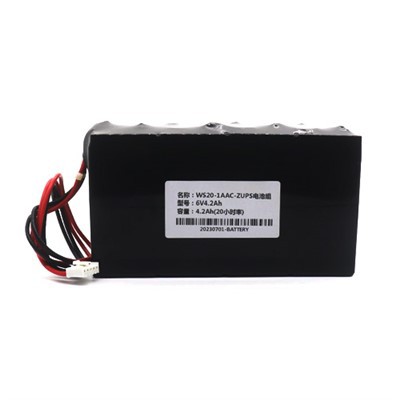 TOSHIBA Asansör Acil Durum Güç Kaynağı WS20-1AAC-ZUPS